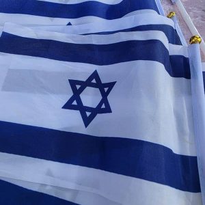 גלריה 113