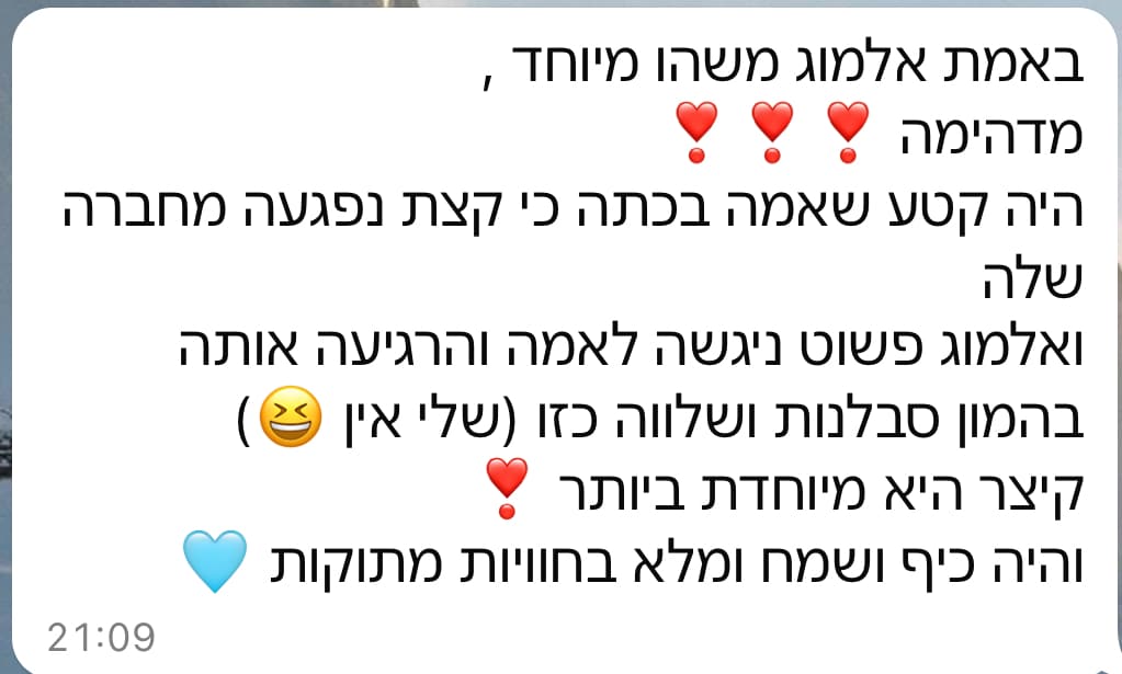 גלריה 132