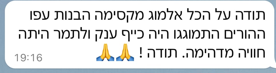 גלריה 236