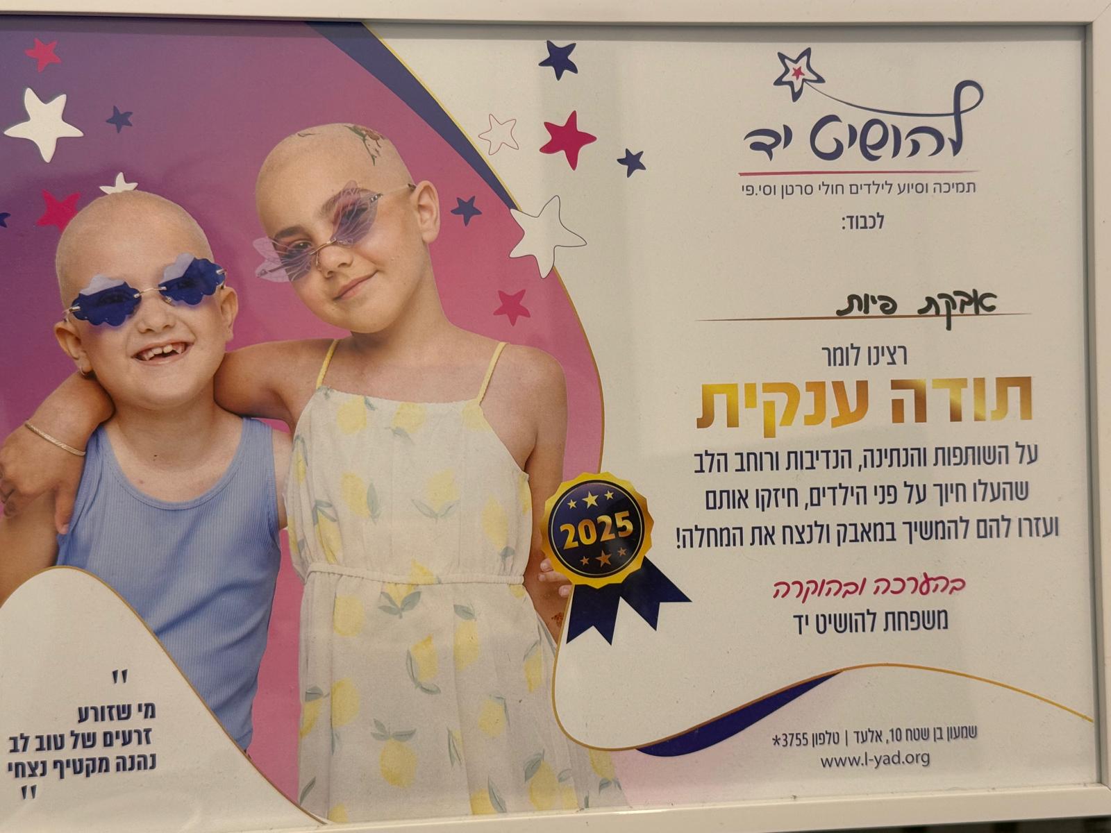 גלריה 217